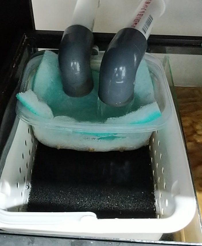 Mechanical Filtration Advanced Aquarium Concepts